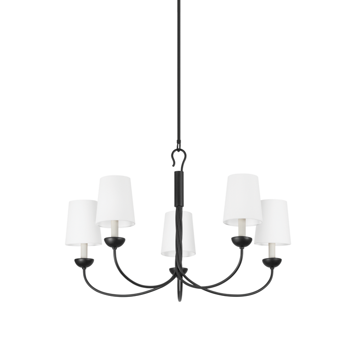 Montpelier Clear Functional Design Chandelier